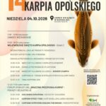 Karp nie musi czekać do Wigilii. Niemodlin zaprasza na drugi dzień jego święta