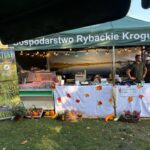 Karp nie musi czekać do Wigilii. Niemodlin zaprasza na drugi dzień jego święta