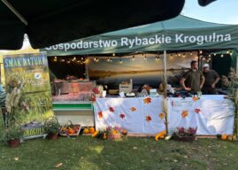 Karp nie musi czekać do Wigilii. Niemodlin zaprasza na drugi dzień jego święta