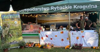 Karp nie musi czekać do Wigilii. Niemodlin zaprasza na drugi dzień jego święta