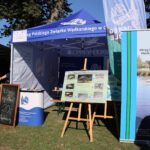 Karp nie musi czekać do Wigilii. Niemodlin zaprasza na drugi dzień jego święta