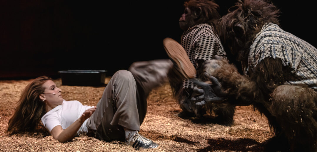 Pieniądze, życie bez udawania i menopauza. Opolski teatr zaprasza także z dziećmi Pieniądze, życie bez udawania i menopauza. Opolski teatr zaprasza także z dziećmi