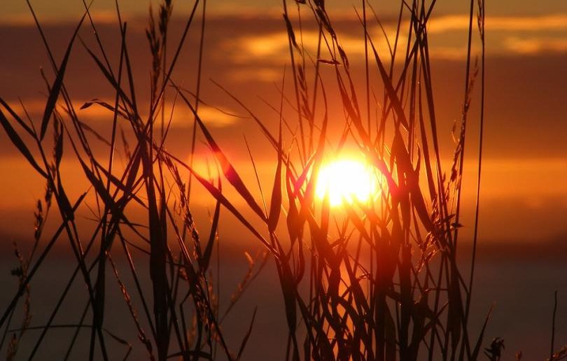 Wracają upały! Możliwe też burze i deszcz