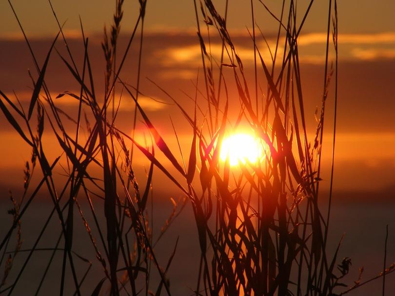 Wracają upały! Możliwe też burze i deszcz