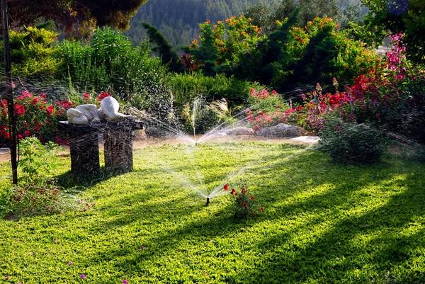 Oszczędzanie wody w domu i ogrodzie