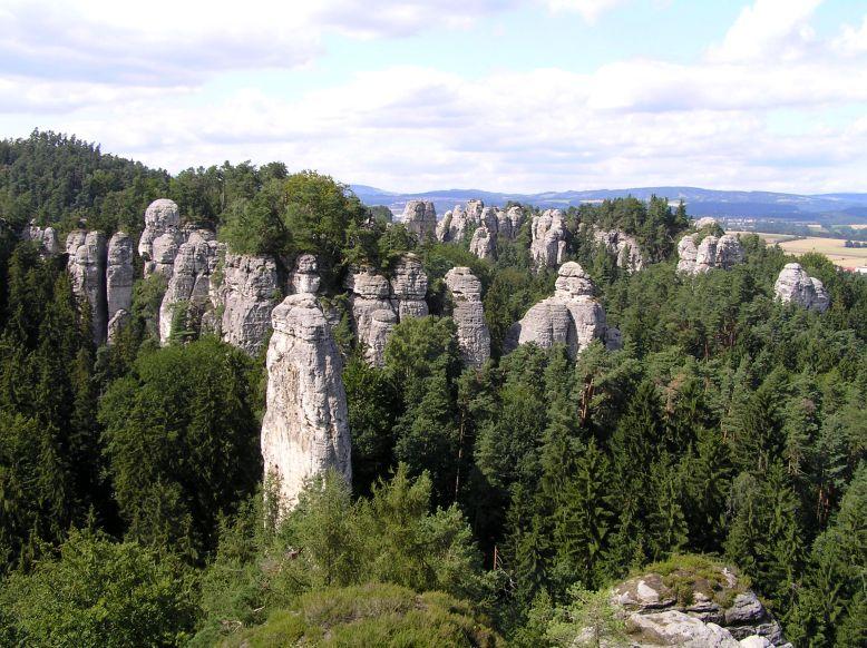 Prószkowskie arboretum będzie uratowane